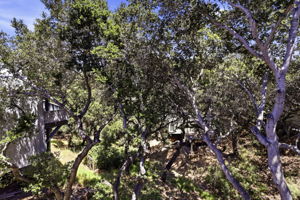 057_F8_1255 North Rd