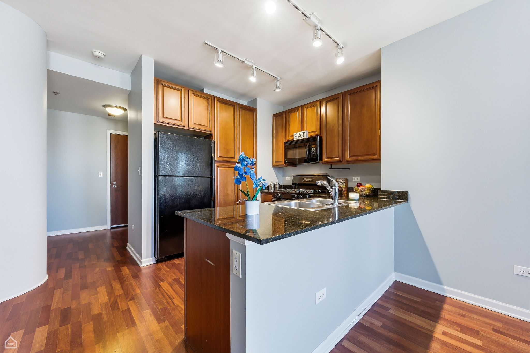 1255 S State St 1701 - Peter Basile Jr_CHP2025_011