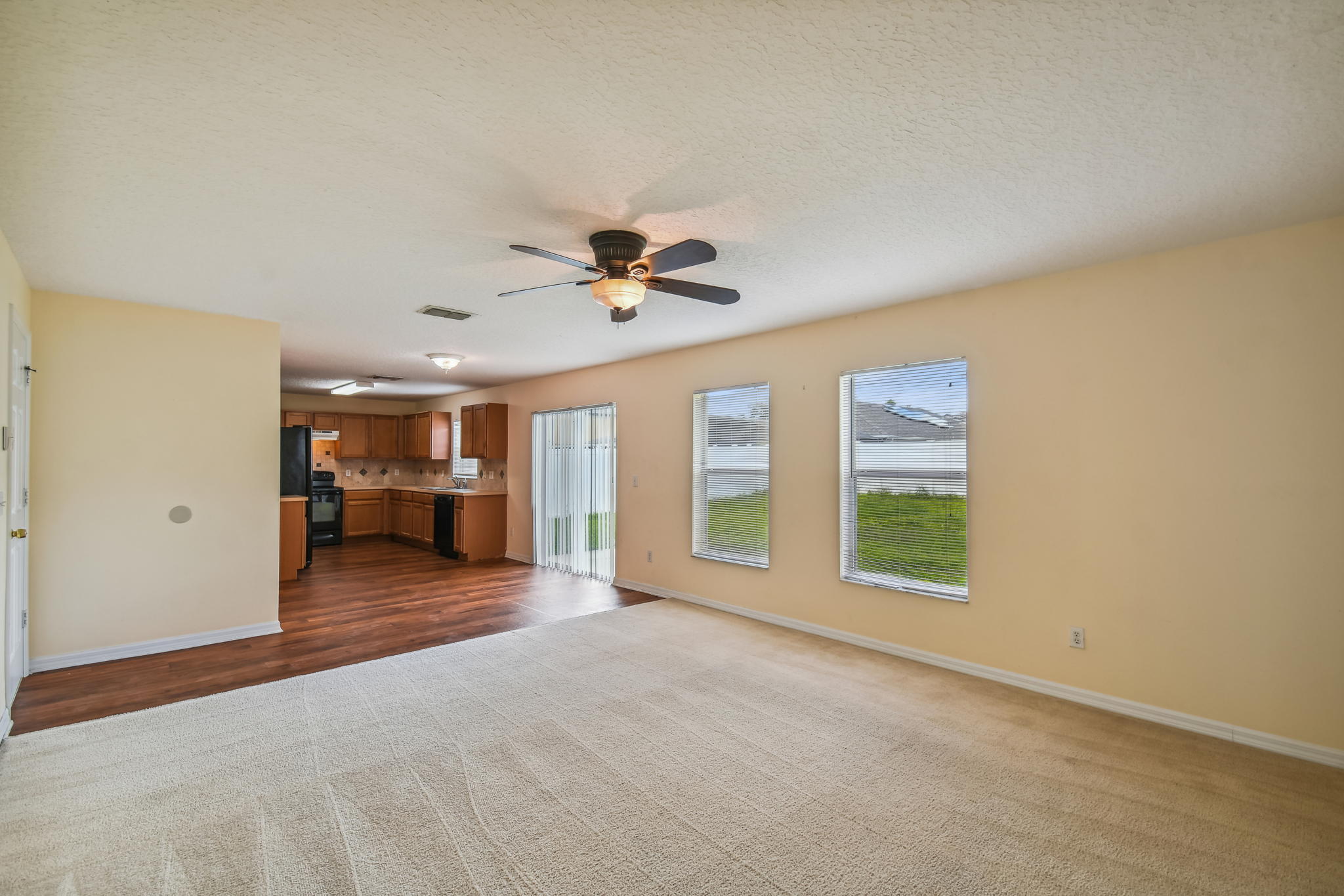 Family Room/Kitchen