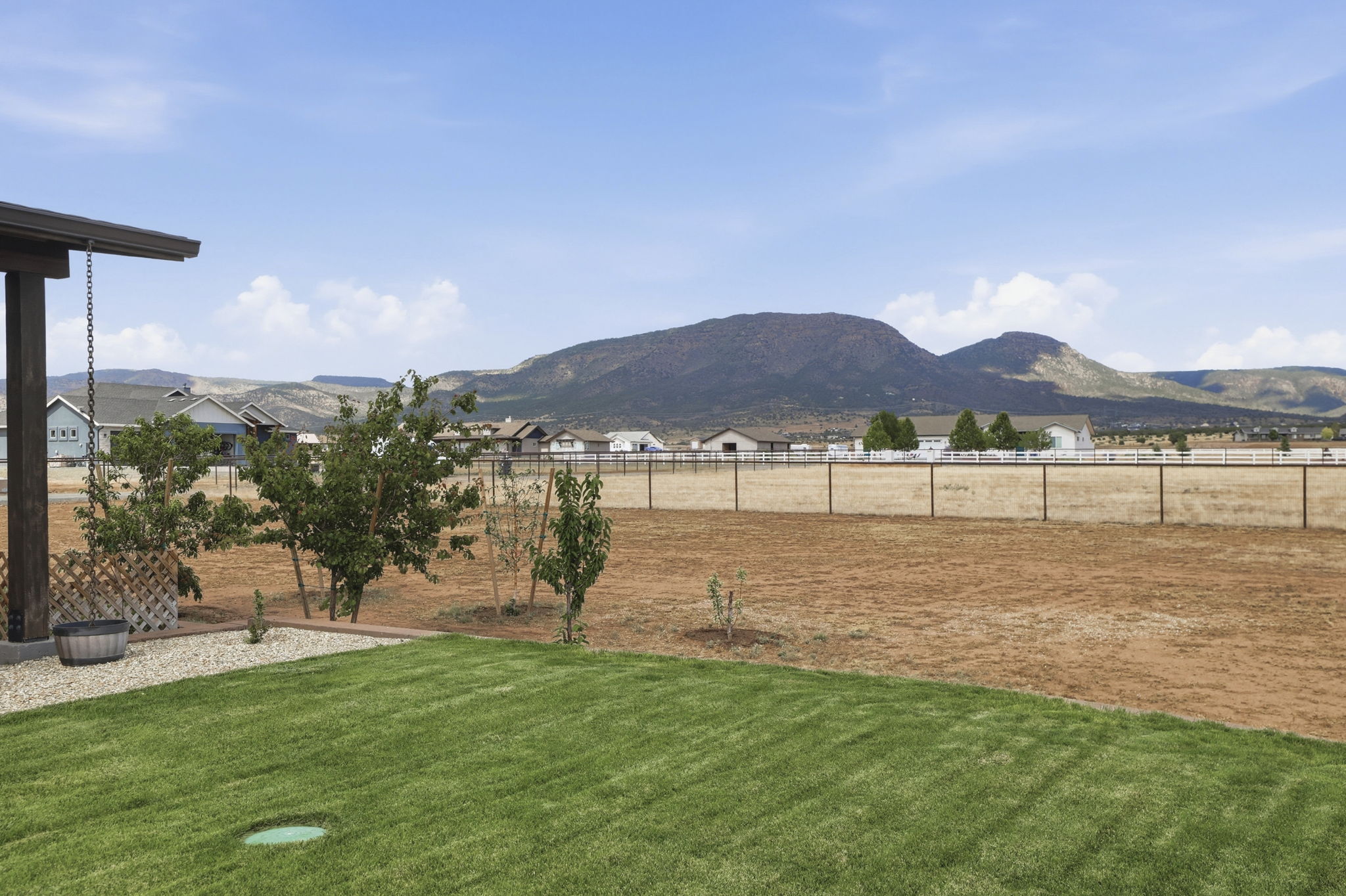 Backyard 3