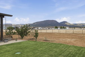 Backyard 3
