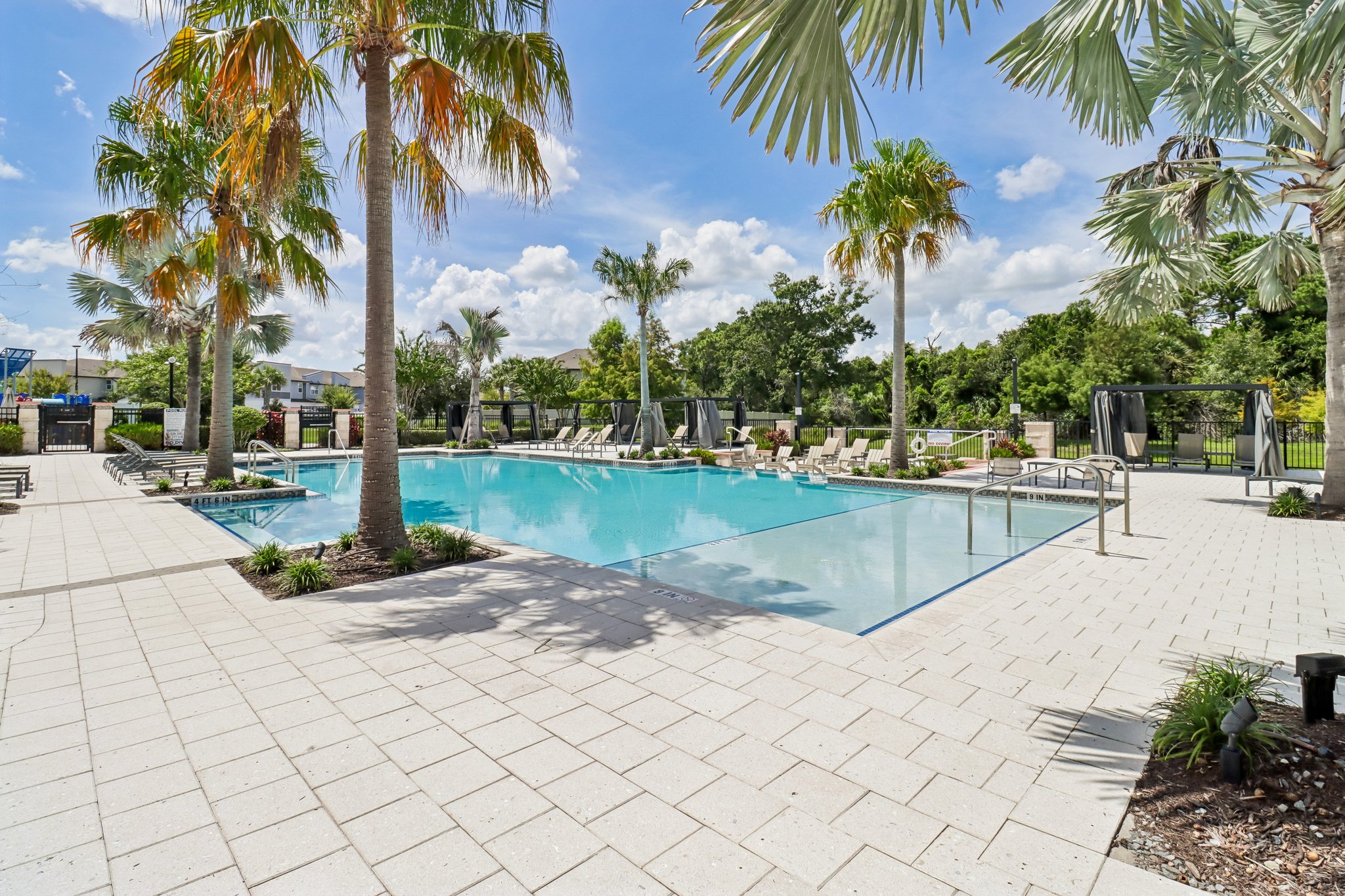 Wading Waters Cir-1209-910.jpg