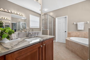 Primary Bathroom 4 of 5