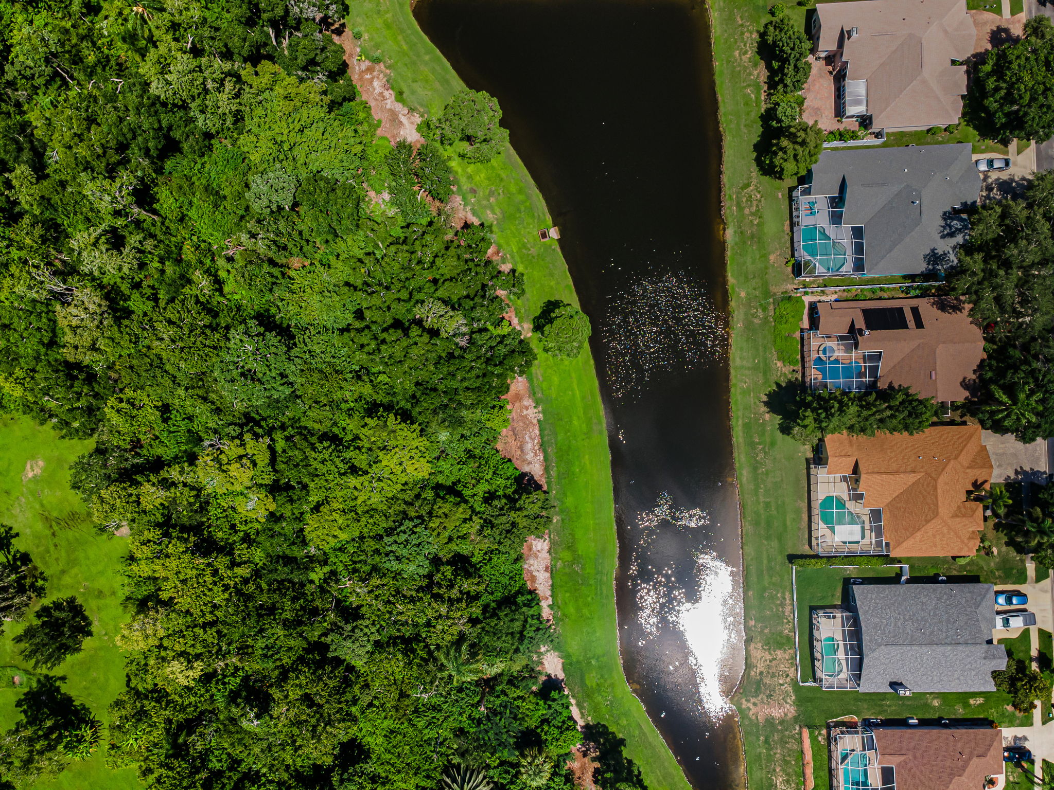 Aerial (20)