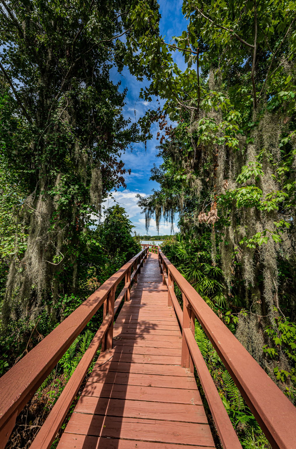 10-North Lake Dock