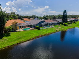 Aerial (17)