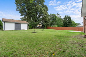  Photo 41