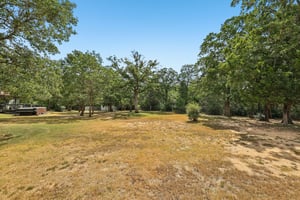 King St-S1408-057.jpg
