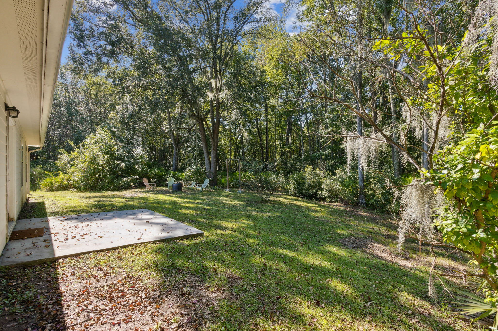 Backyard