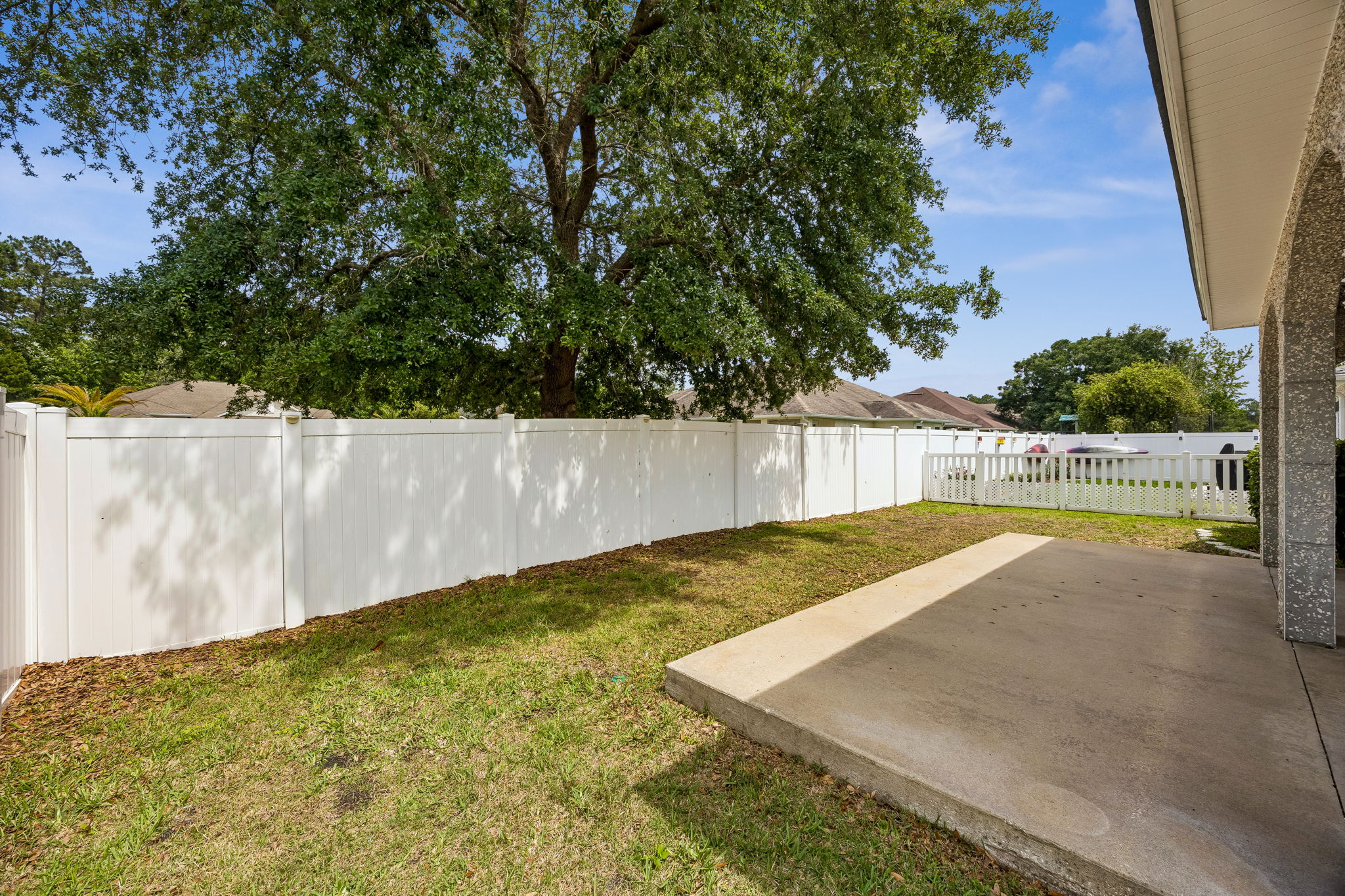 Backyard