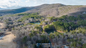 Orchard-1