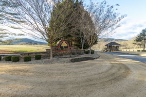 Orchard-39