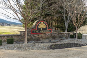 Orchard-38