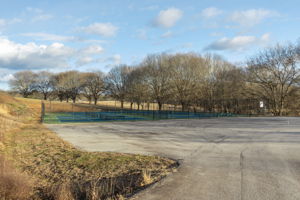 Orchard-26
