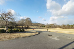 Orchard-29