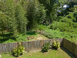  Photo 30