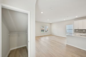 Atlanta - Martin Springs - 1260 Firefly Field Trce Trace, Lawrenceville, GA 30045 - 016