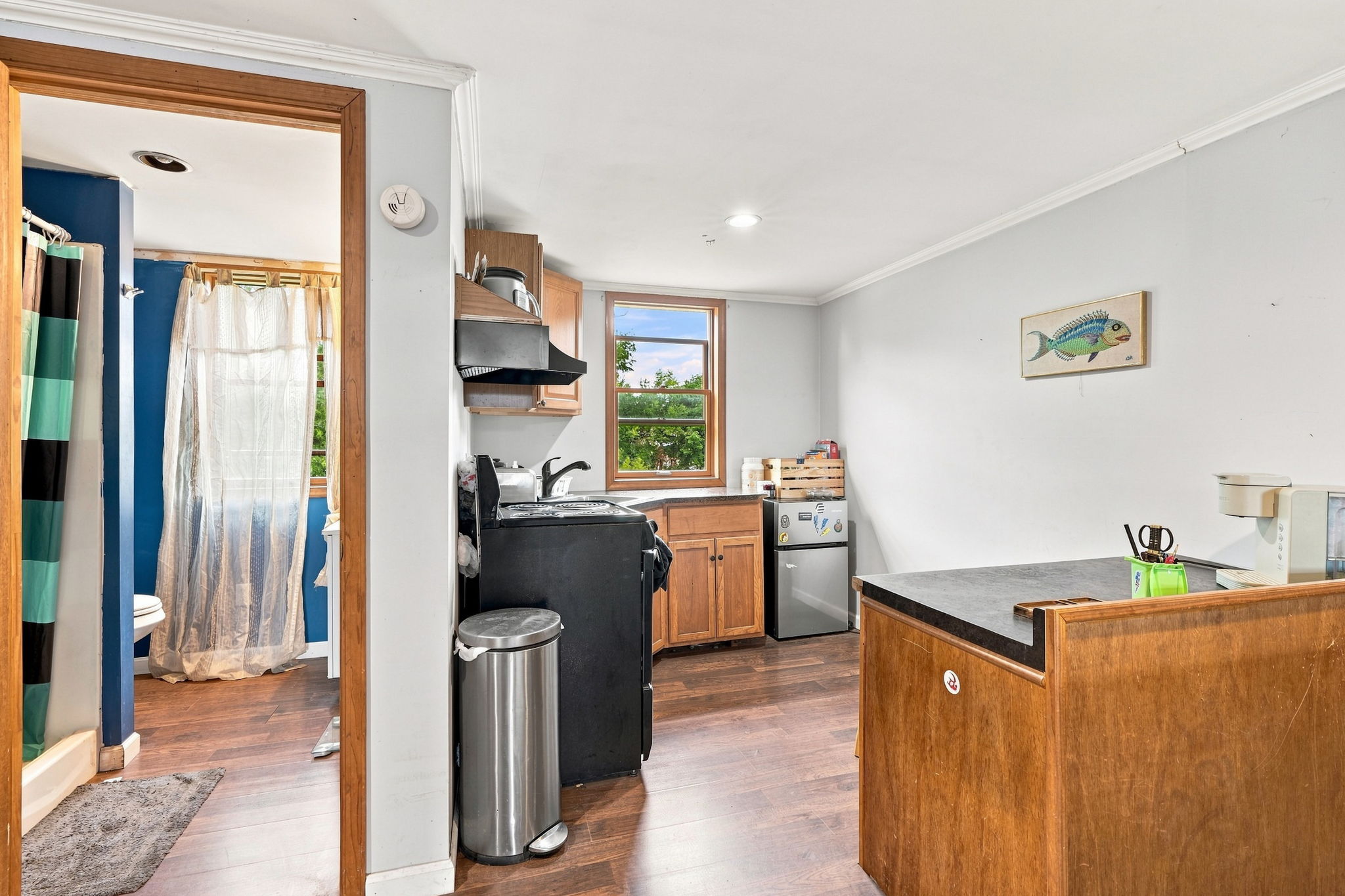  Photo 54