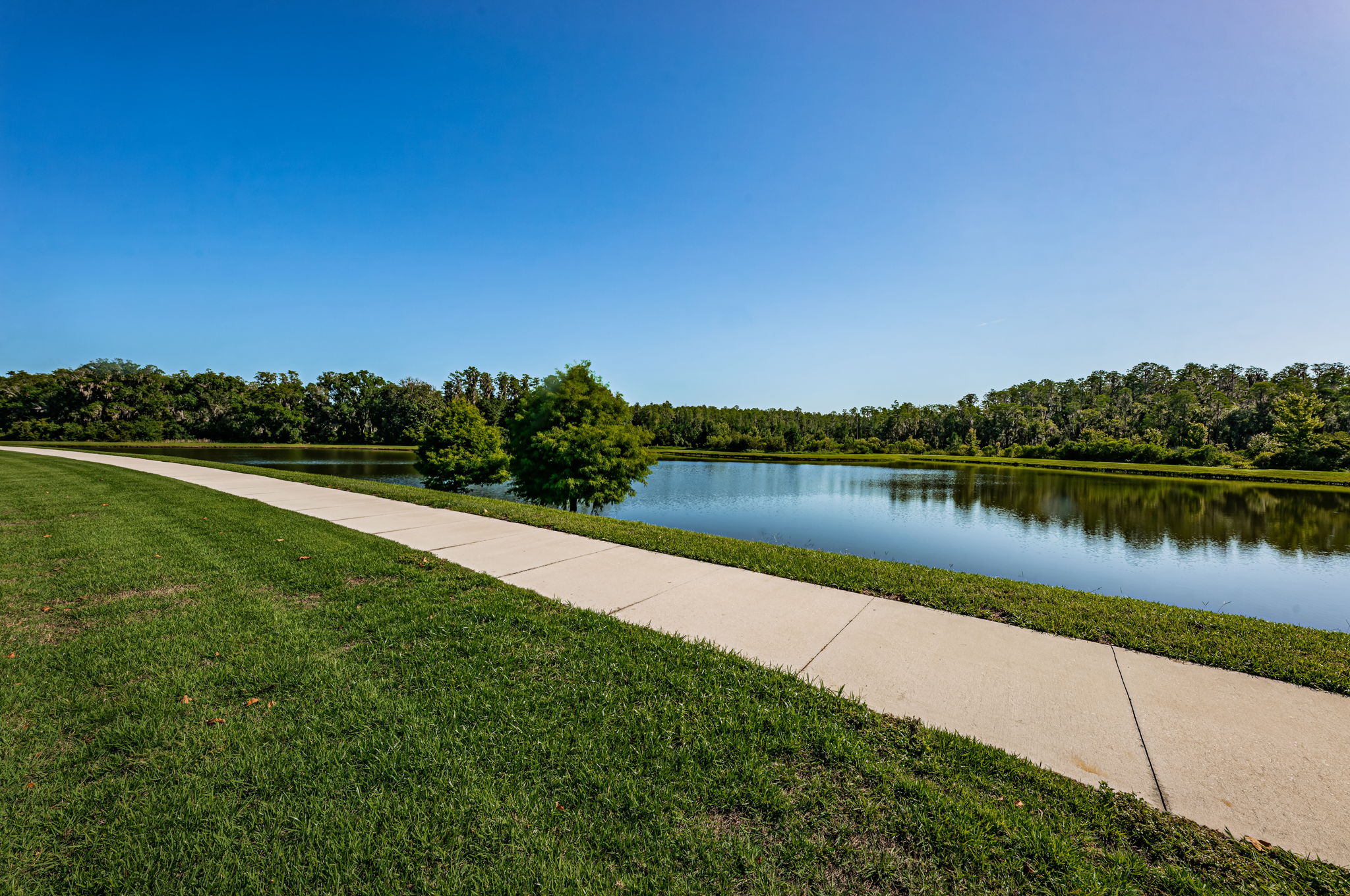 Frontyard View1