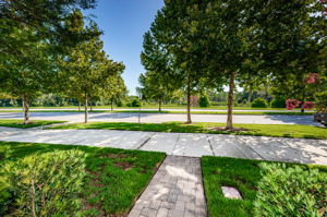 Frontyard and View