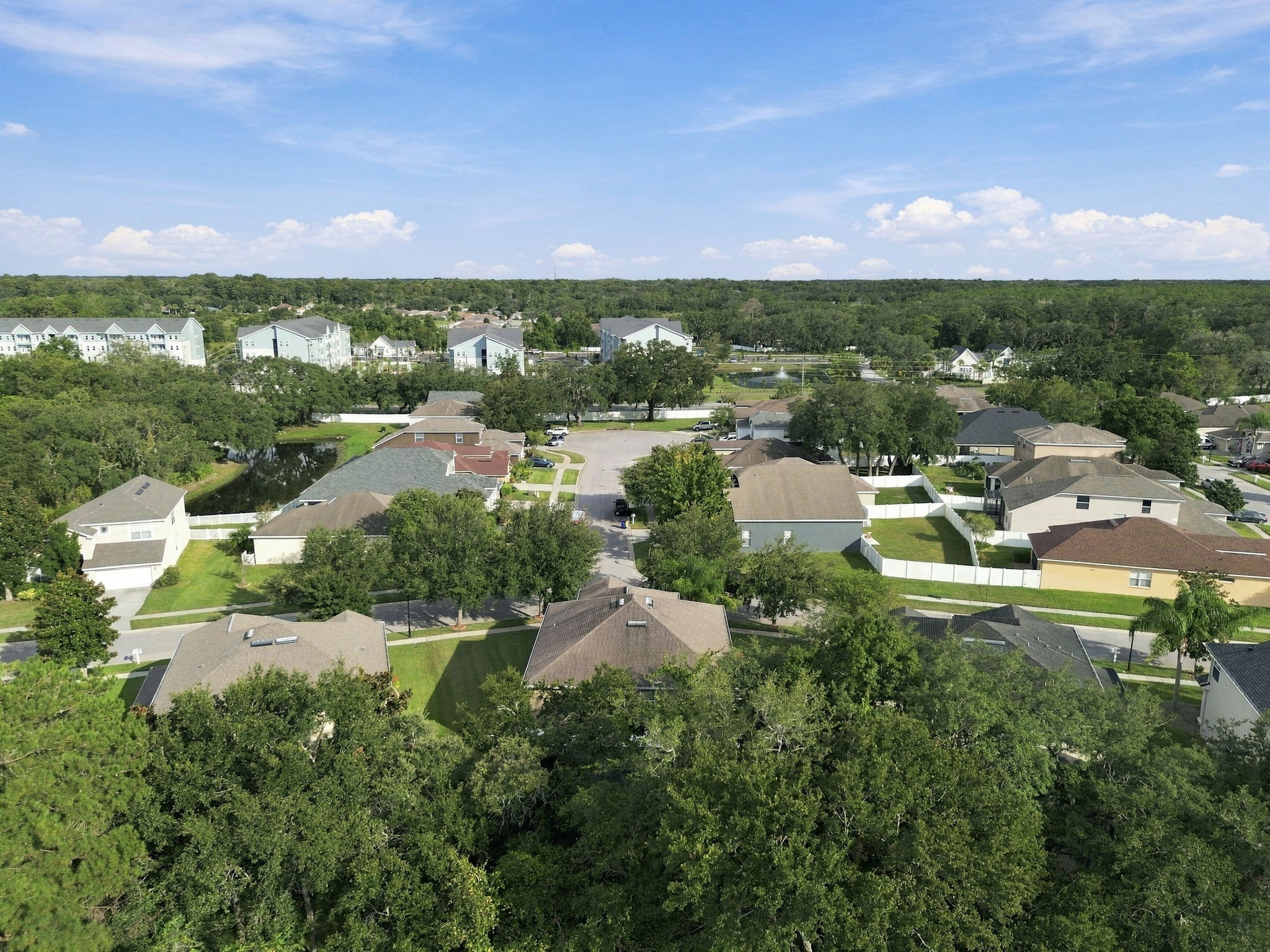DJI_0221