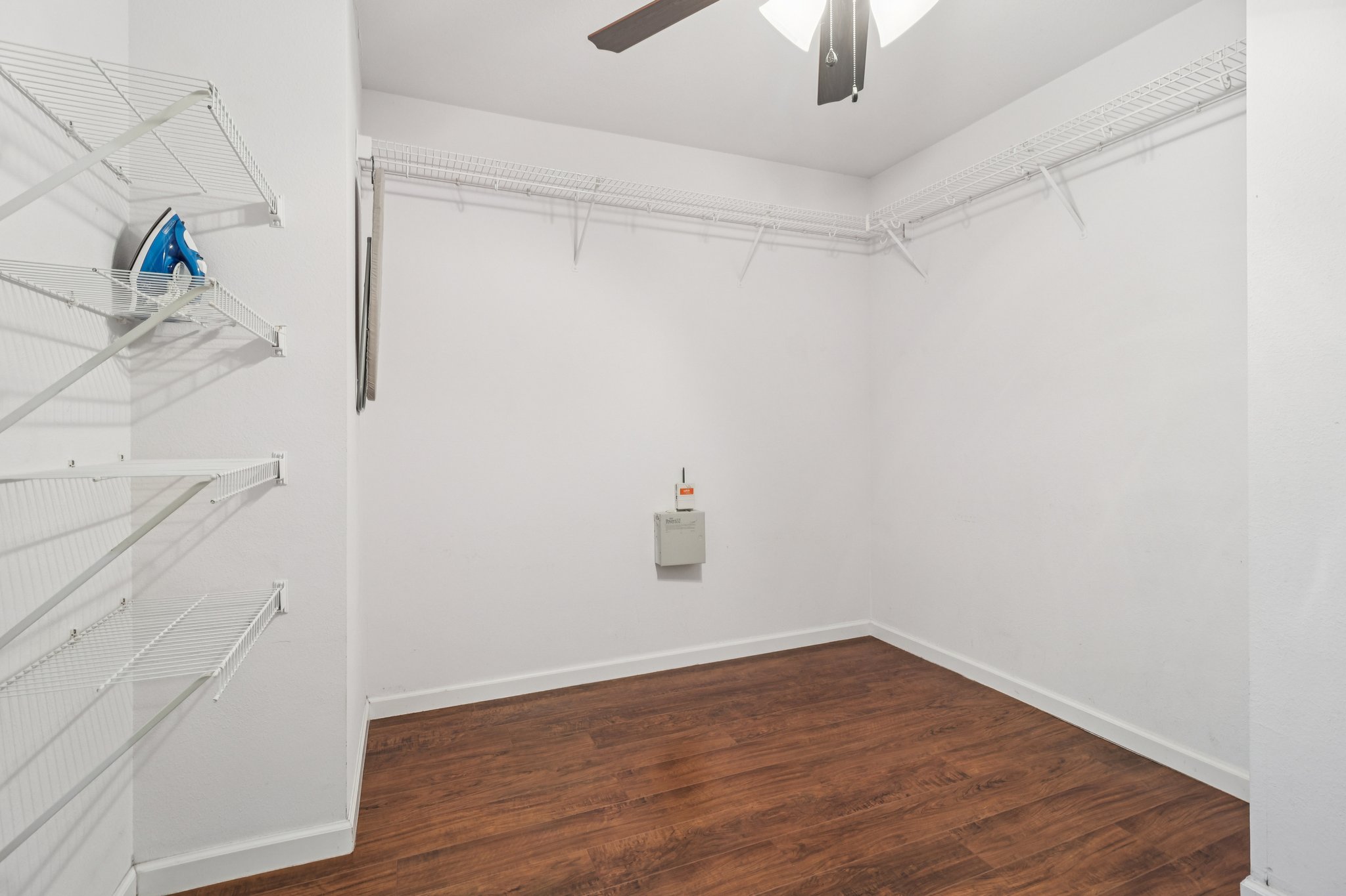 Mexican Plum-S1712-032.jpg