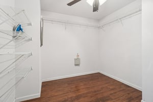 Mexican Plum-S1712-032.jpg