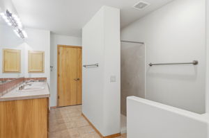 Primary Bathroom 2
