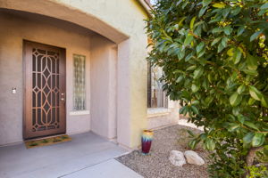 Decorative security door