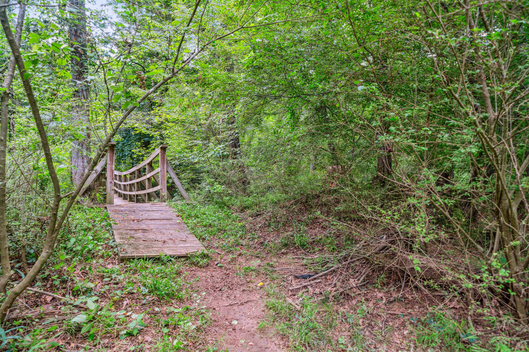 Bridge to Greenway access