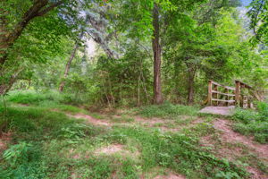 Bridge to Greenway access