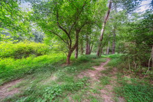 Trail to Greenway access