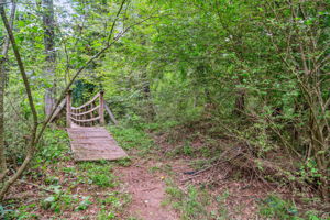 Bridge to Greenway access