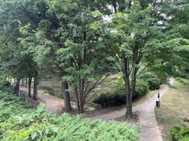  Photo 36