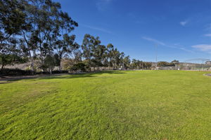 Savannah Terrace Stock 8