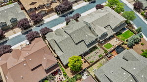 Birds Eye
