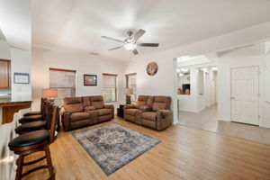 Living Room (1)