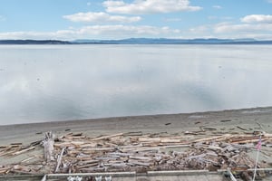 Beach Dr-S2701-088.jpg
