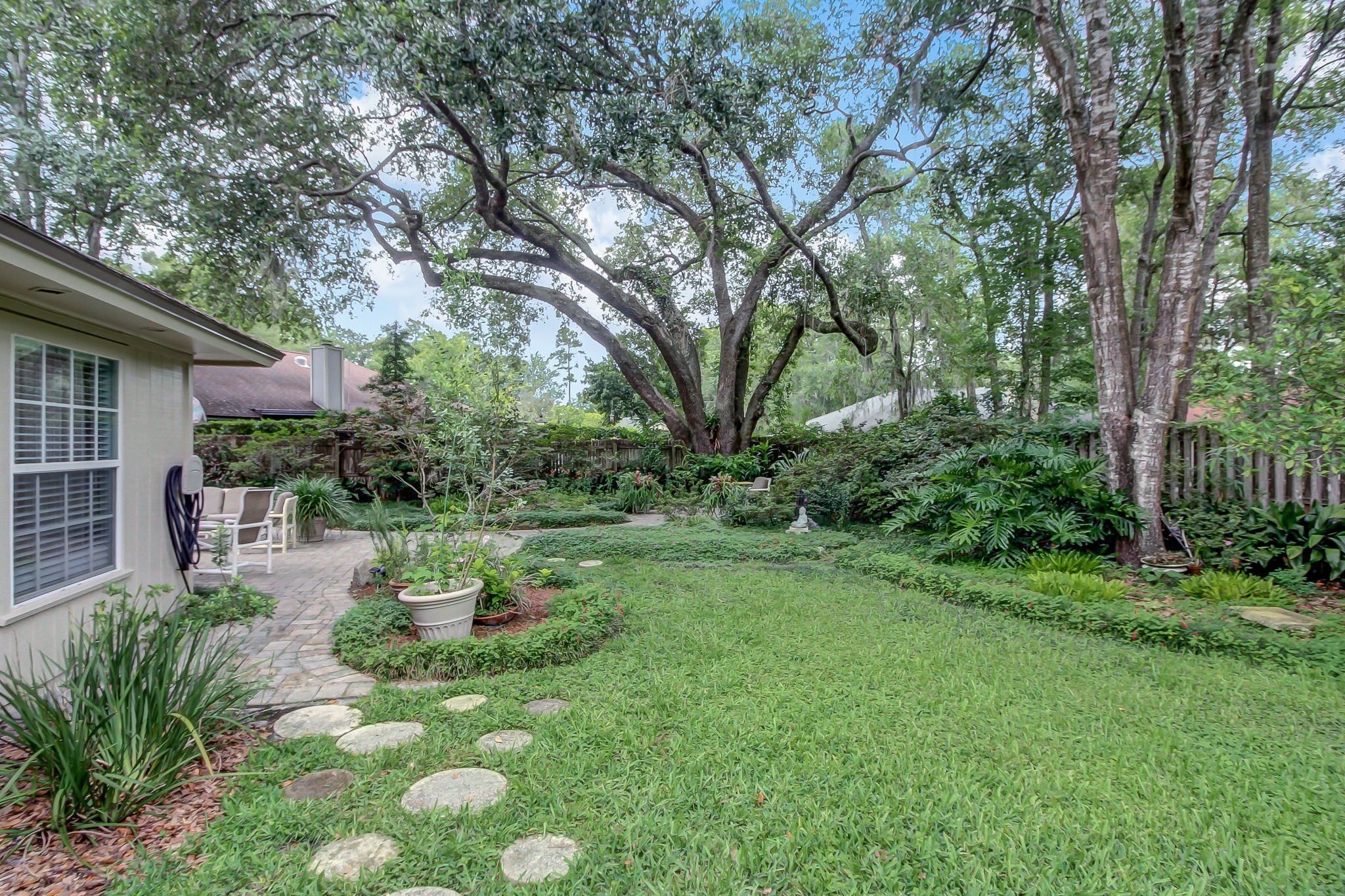 Backyard