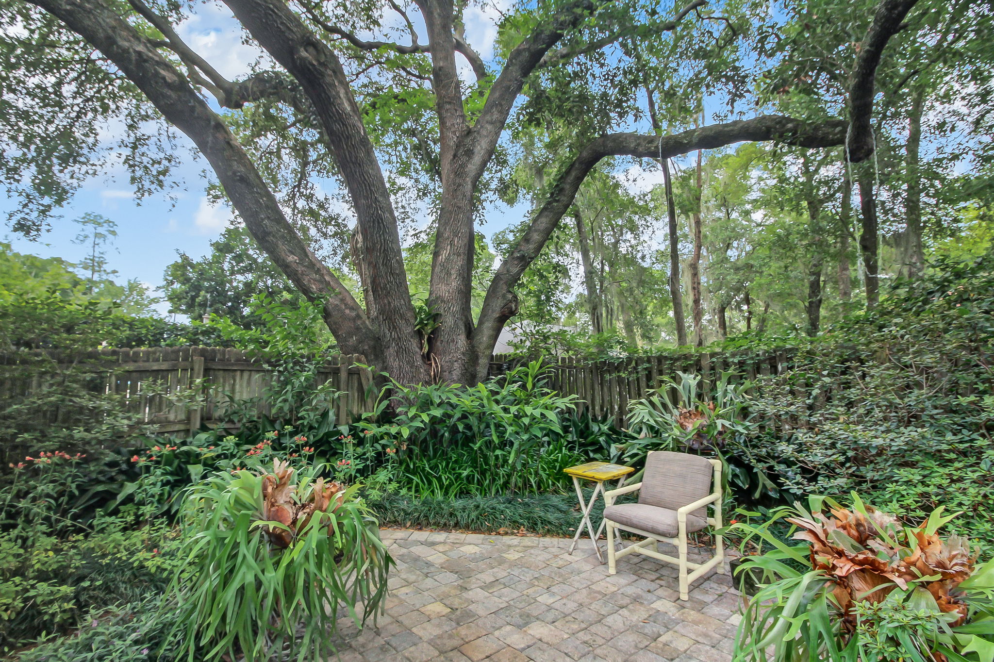 Backyard