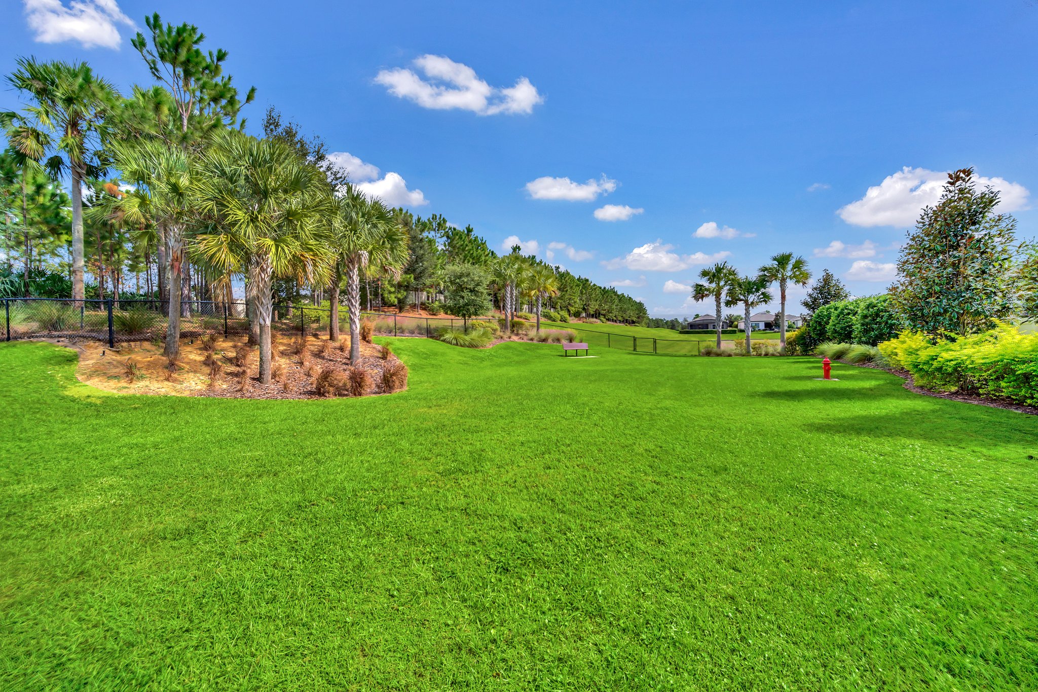 1269 Zeek Ridge St, Clermont, FL 34715, USA Photo 59