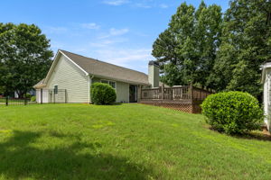 Sod backyard