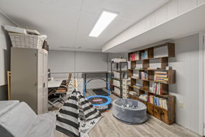  Photo 47