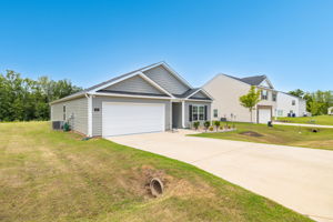 127 Green Mallard Wy-3
