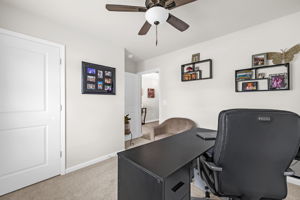 127 Green Mallard Wy-19