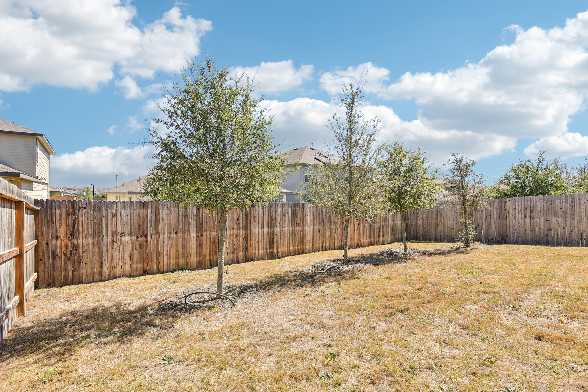 Sage Sparrow-S2702-042.jpg