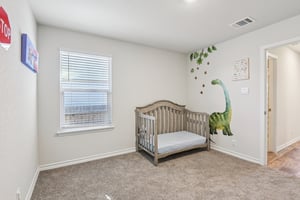 Sage Sparrow-S2702-027.jpg