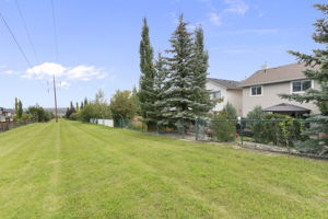  Photo 51