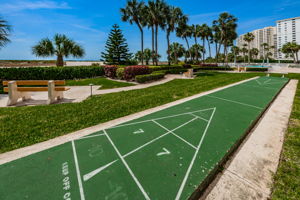 20-Shuffleboard
