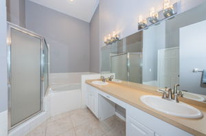 Master Bathroom1a